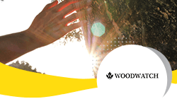 Afbeelding voor het klantverhaal van WoodWatch