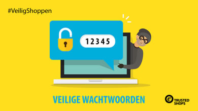 20181206_FB-Grafik_Safer-Shoppen_NL_Veilige_wachtwoorden_MKT-2285-1