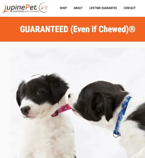 Website van LupinePet met twee puppy’s die aan een hondenhalsband kauwen, bovenaan de tekst 'GUARANTEED (Even if Chewed)®'. Afbeelding benadrukt de levenslange garantie en duurzame hondenaccessoires van LupinePet. 