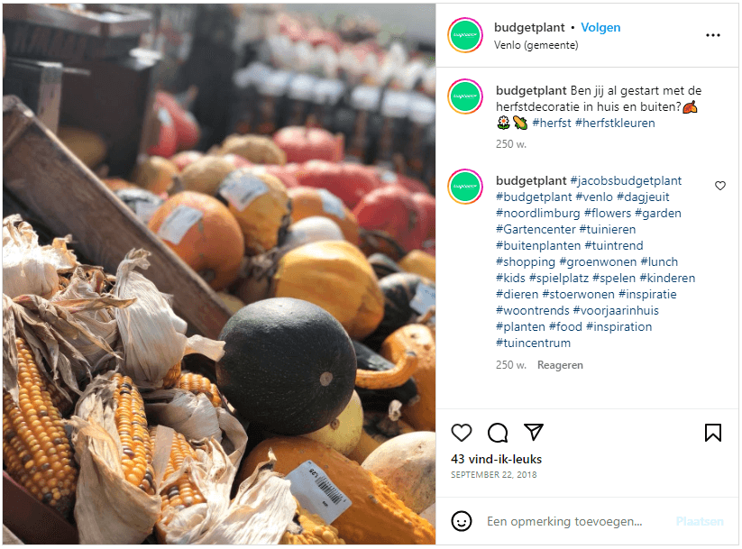 Screenshot van herfst-marketing van Budgetplant op Instagram