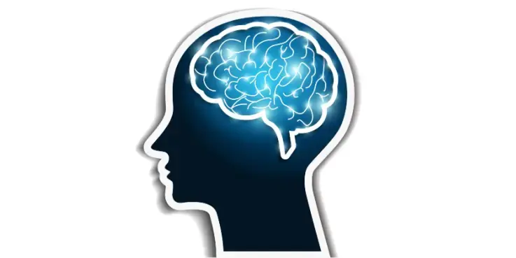 Illustratie van een silhouette van de zijkant van een menselijk hoofd, met erin in neonblauw een brein te zien