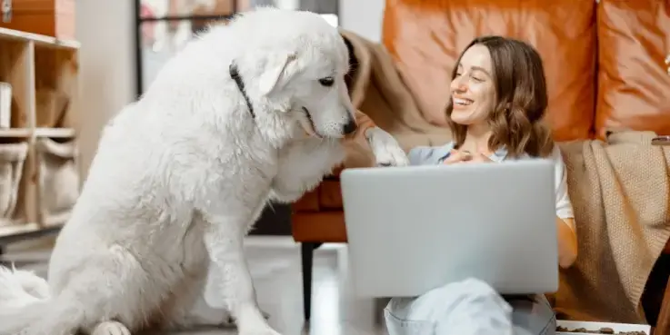Hond en vrouw met laptop werken aan Dierendag-marketing