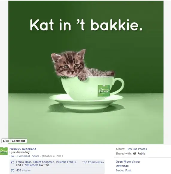 Pickwick op Facebook, kat in een kopje 'Kat in 't bakkie'