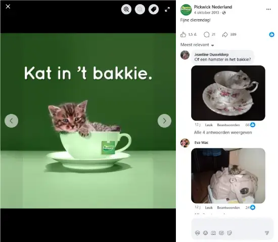 Screenshot van een Facebook-post van Pickwick Nederland voor Dierendag: een kitten zit in een groene theekop met Pickwick-logo op een groene achtergrond, met de tekst 'Kat in ’t bakkie.' Humoristisch voorbeeld van socialmedia‑marketing.